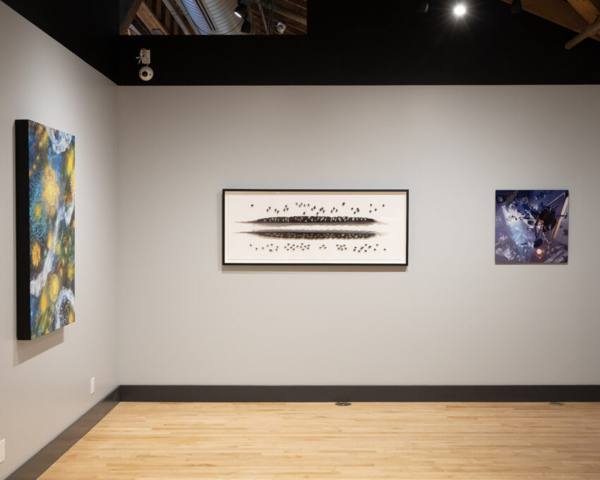 a collective of different artworks presented on a gallery wall.
