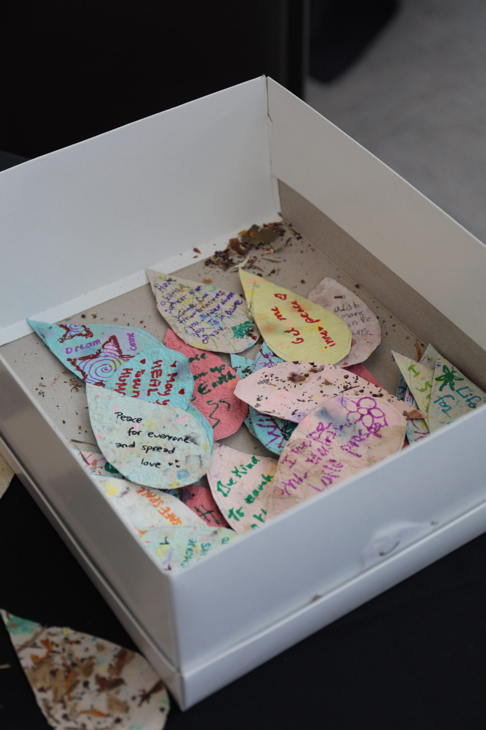 Box full of "Wishes for the Earth" written on seed paper in the shape of rain drops.