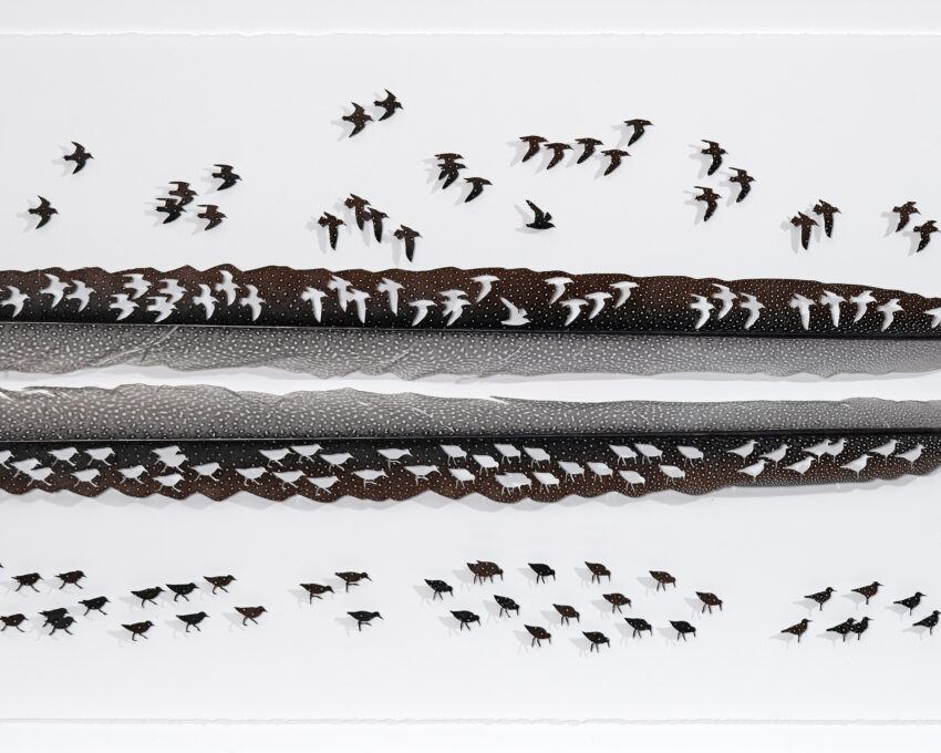 An artwork made of 2 large horizontal feathers with bird silhouettes cut from them arranged above and below.